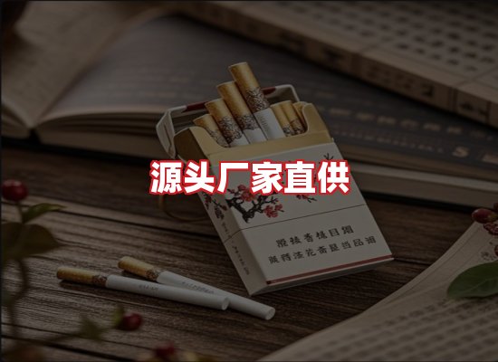 专业团队